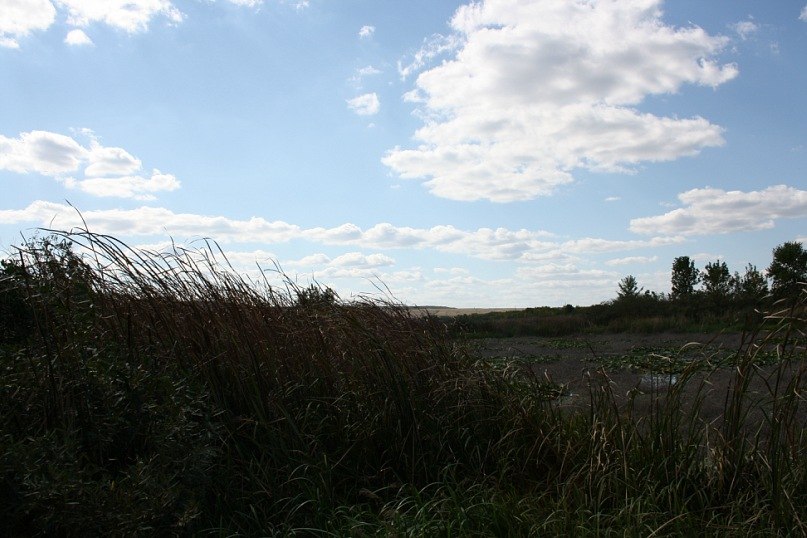 Маргарита Иванова | Москва