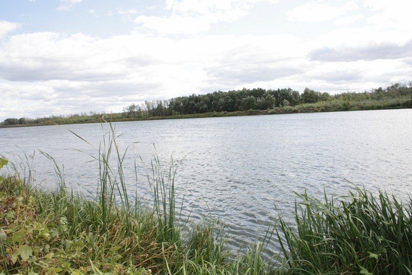 Маргарита Иванова | Москва