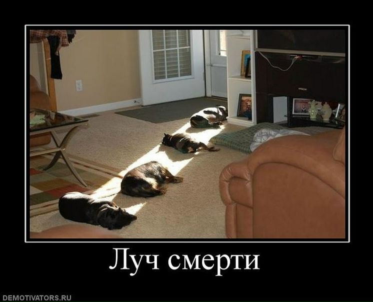 №74, Михаил Кан, Ивантеевка №74, Михаил Кан, Ивантеевка