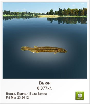 Вадим Егоров | Уфа