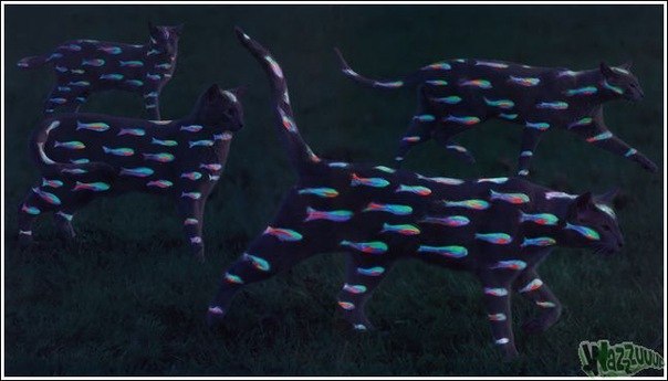 Наташа Чугункина | Серпухов