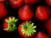 Назар Яремчук | Львов