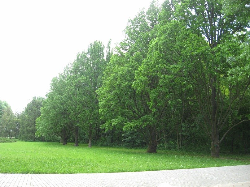 Богдан Задорожнюк | Запорожье