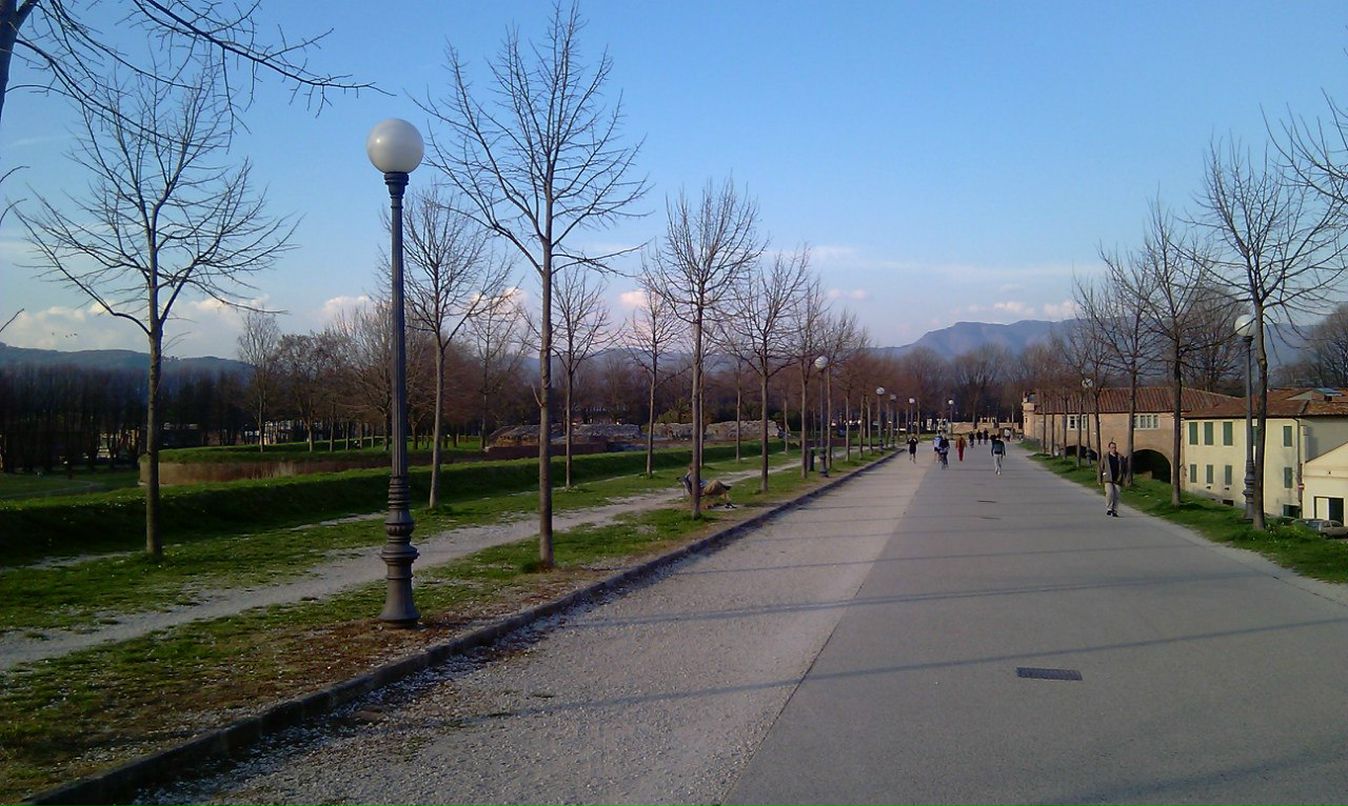 Вадим Конев | Ростов-на-Дону