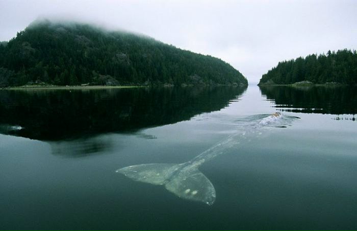 №2, Алексей Мухин, Москва №2, Алексей Мухин, Москва