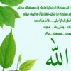 Аватар: Mohamed Sena