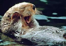 Натали Кирилюк-Фатова SKAZKA | 