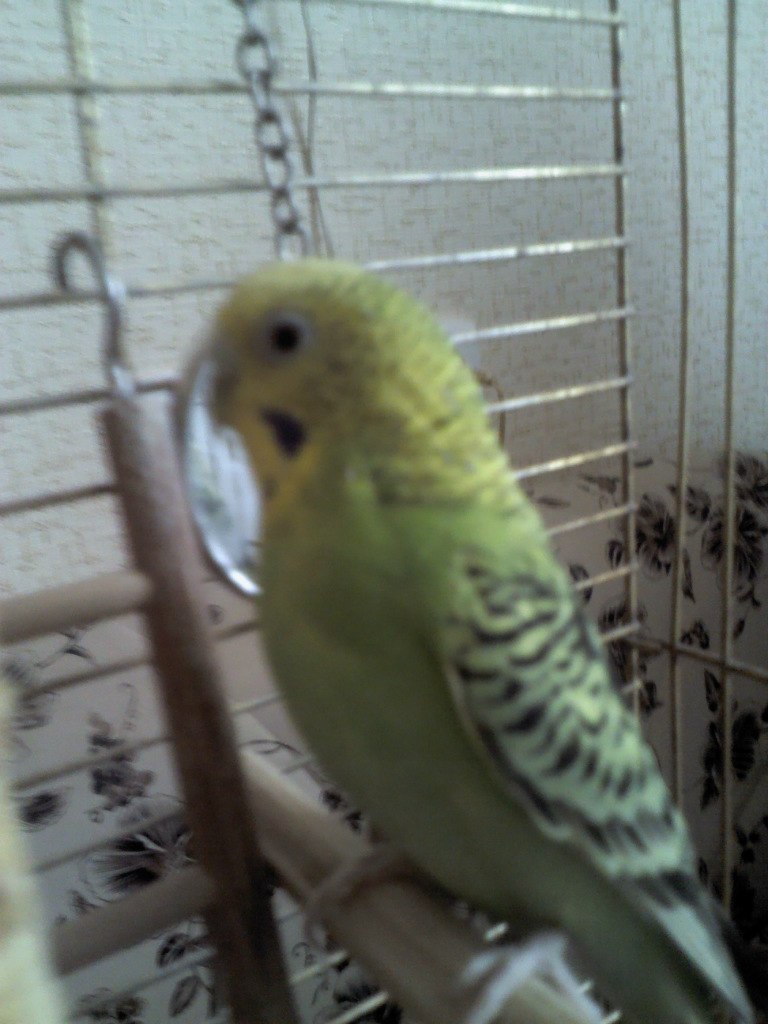 Нина Улькина | Санкт-Петербург