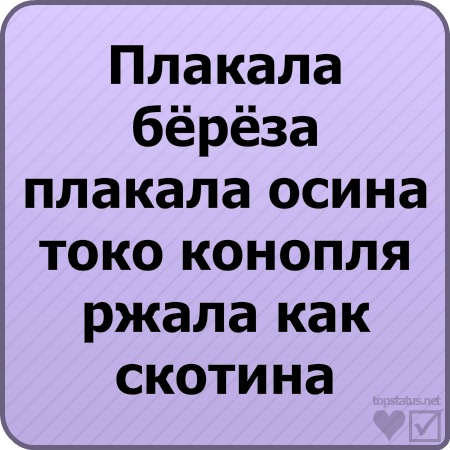 №33, Миша Александров №33, Миша Александров
