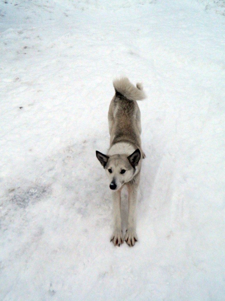 Зарина Юсупова | Уфа
