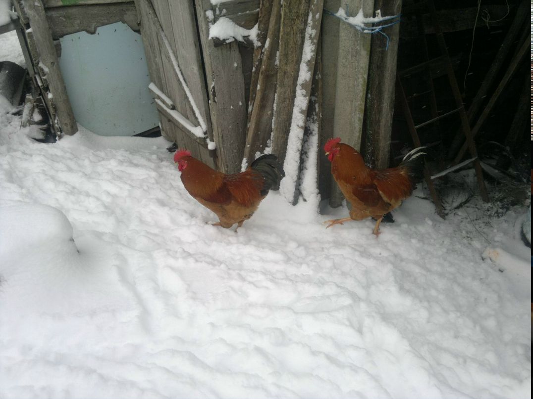 Константин Севостьянов | Москва