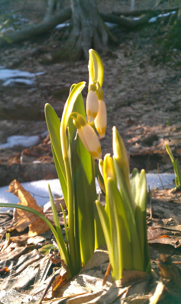Василь Дудина | Выгода