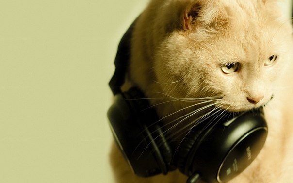 Санечка Либина | Харьков