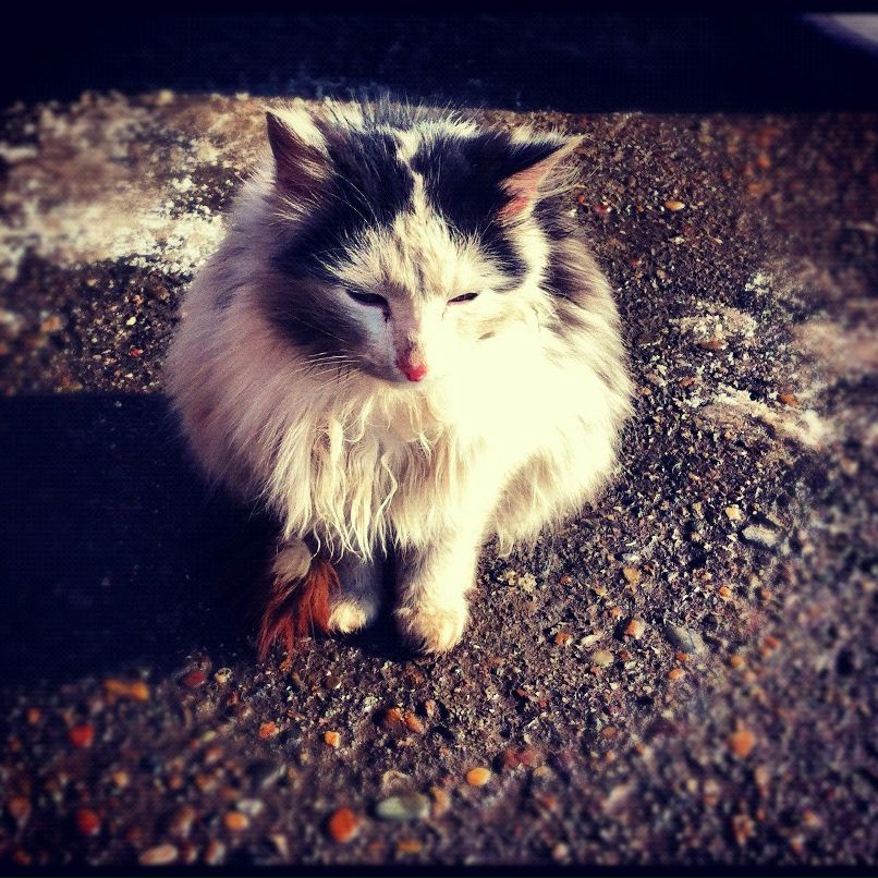 Сергей Боголюбский ID | Santa Cruz de Tenerife