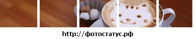 Фотография Тимур Марданов