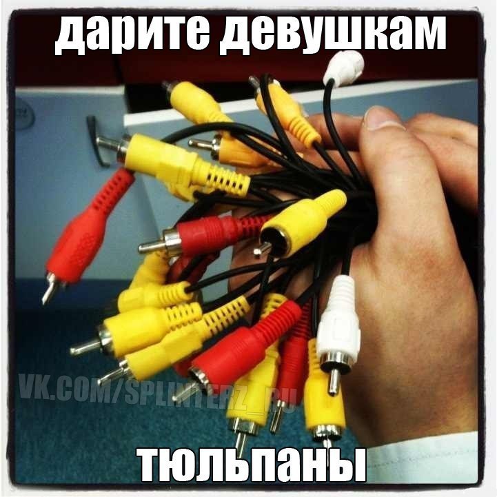 Владимир Камкамидзе | Санкт-Петербург