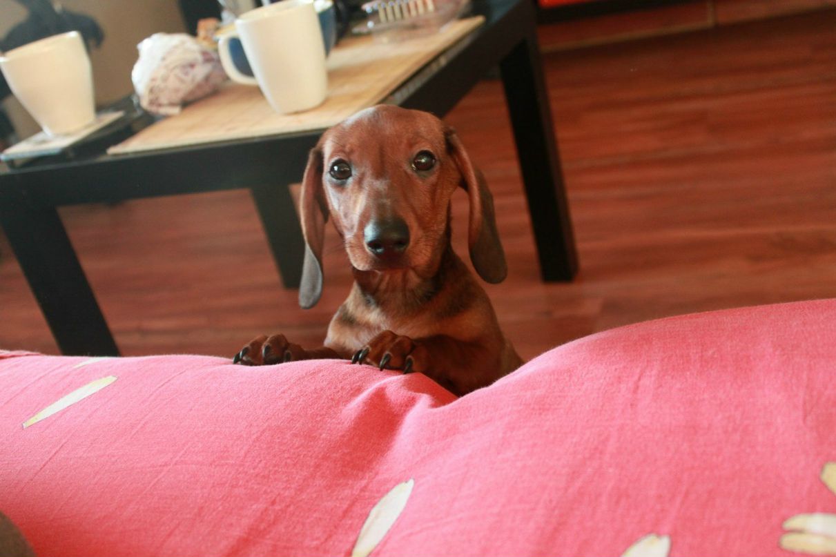 Татьяна Чеботаева | Санкт-Петербург