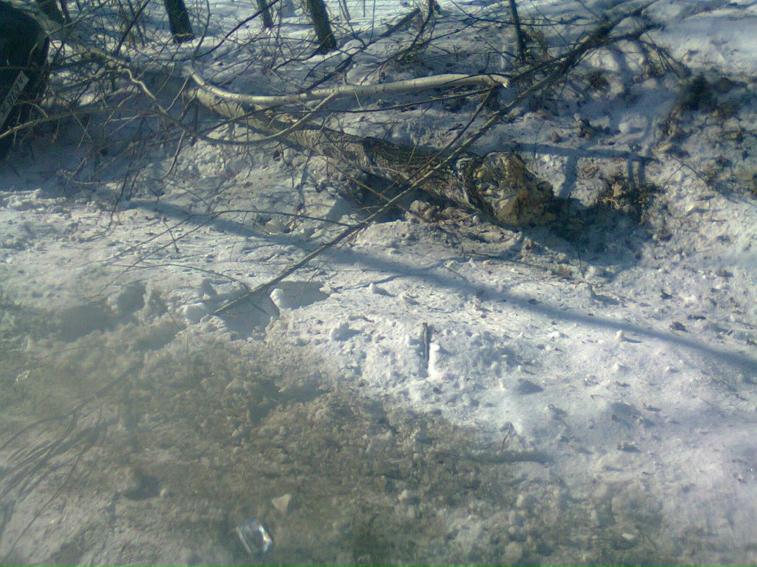 Алексей Коваль Так что ли? | Хабаровск