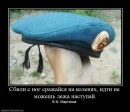 Фотография Алексей Синюков