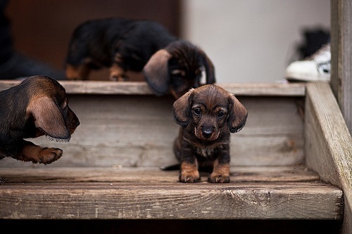 №31, Анастасия Комиссарова, 31 год, Ликино-Дулево №31, Анастасия Комиссарова, 31 год, Ликино-Дулево