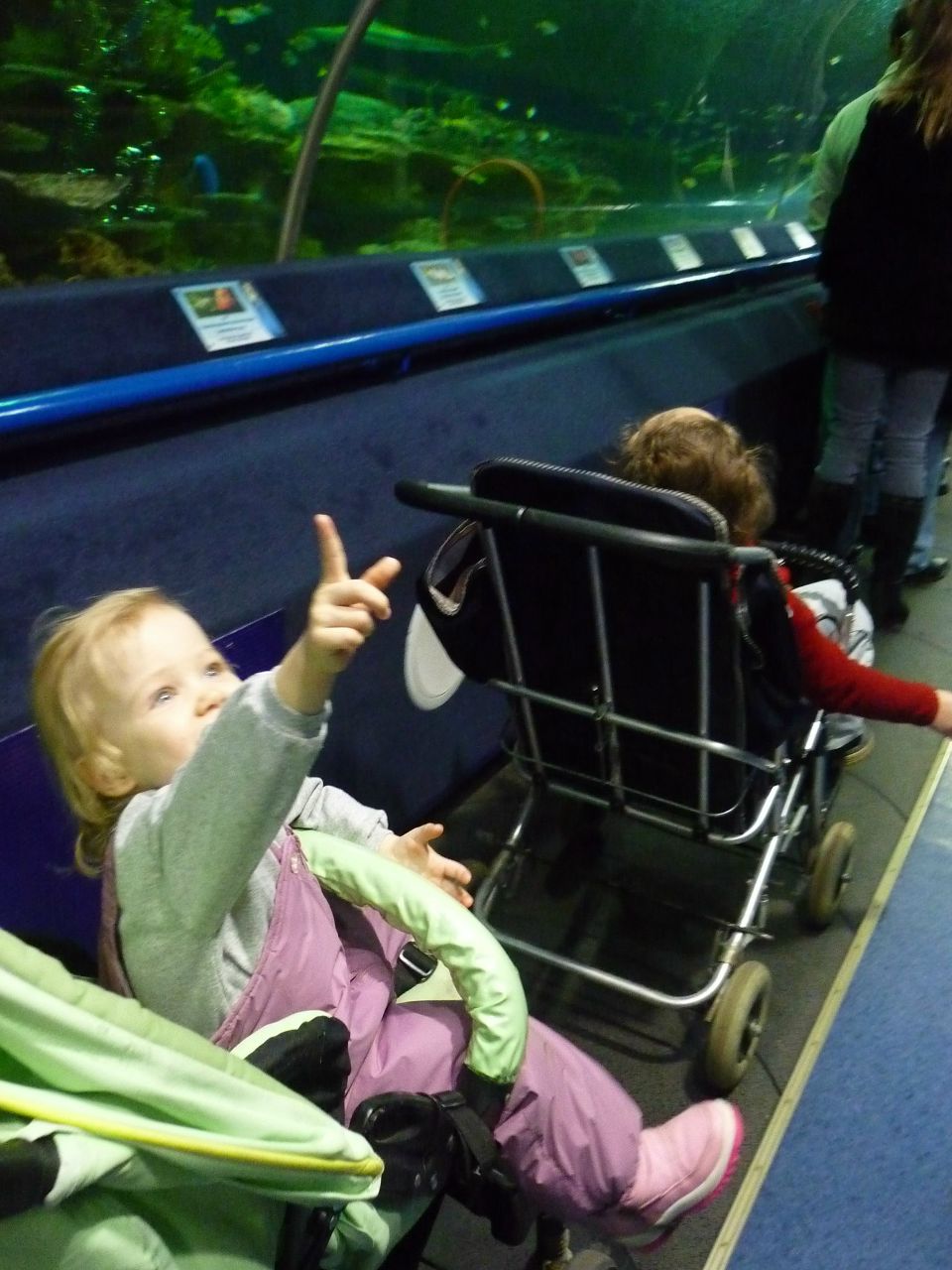 Александра Виноградова | Санкт-Петербург