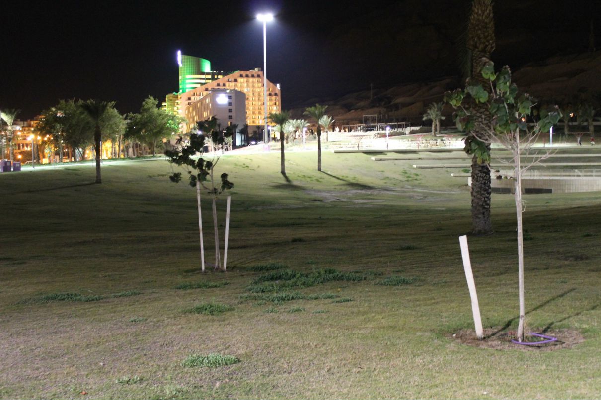 Евгений Александров | Москва