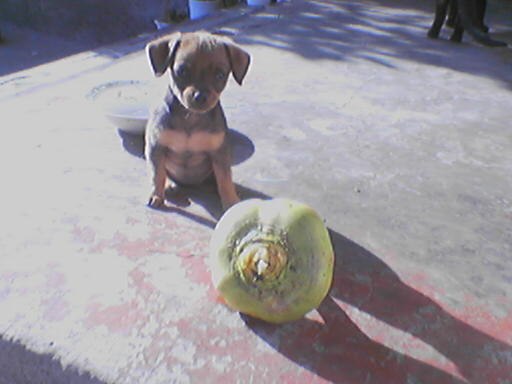 Лора Белоусова | Усть-Лабинск