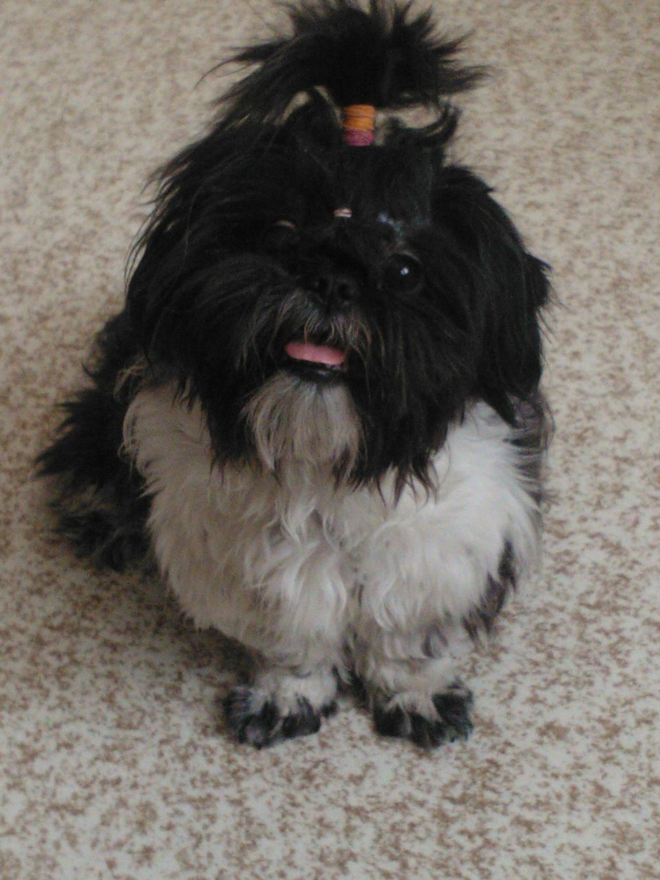 Екатерина Заманова | Челябинск