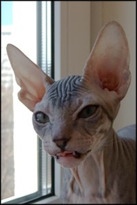 Олеся Раковец ღ }I{u4k@ ღ | Находка