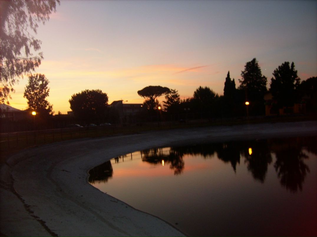 Олександр Горак | Тернополь