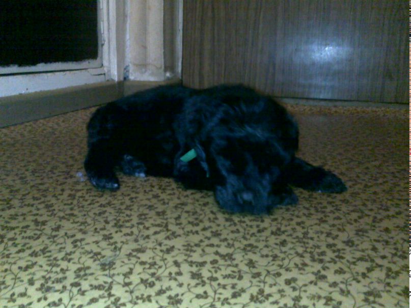 Катерина Колисниченко | Москва