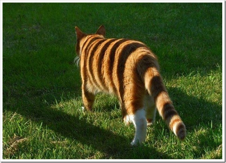 Александр Разведкин | Балашиха