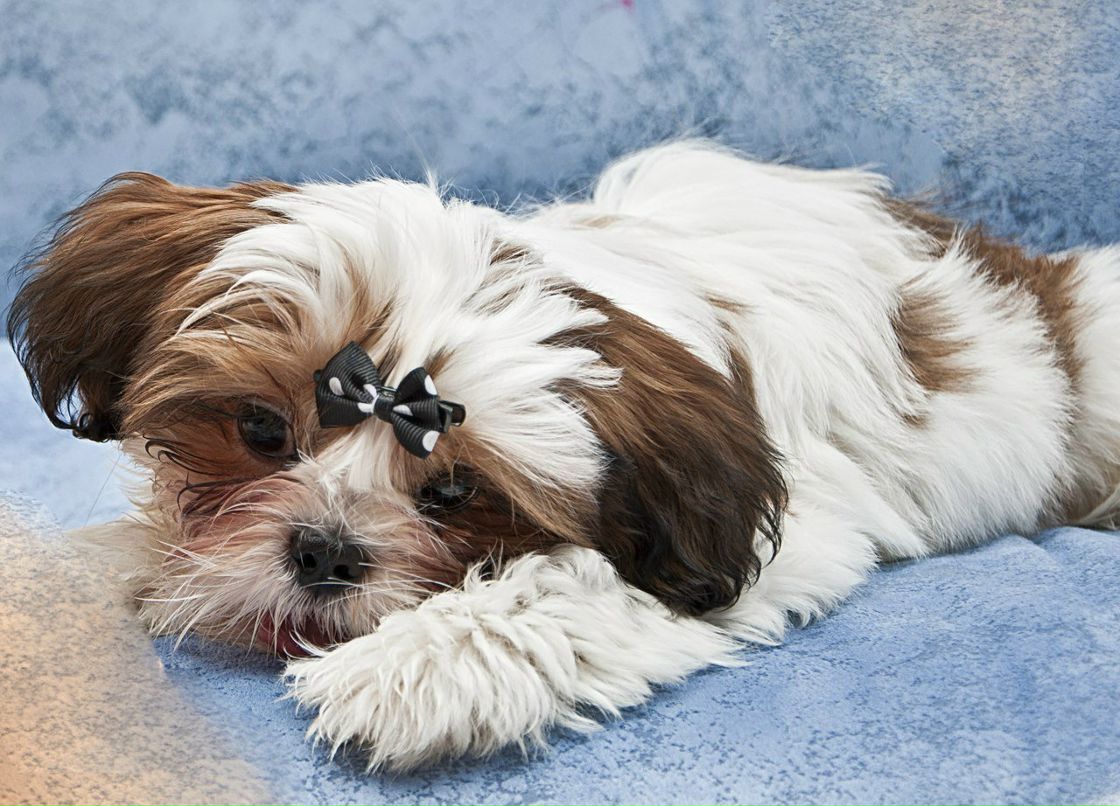 Марина Остапенко | Киев