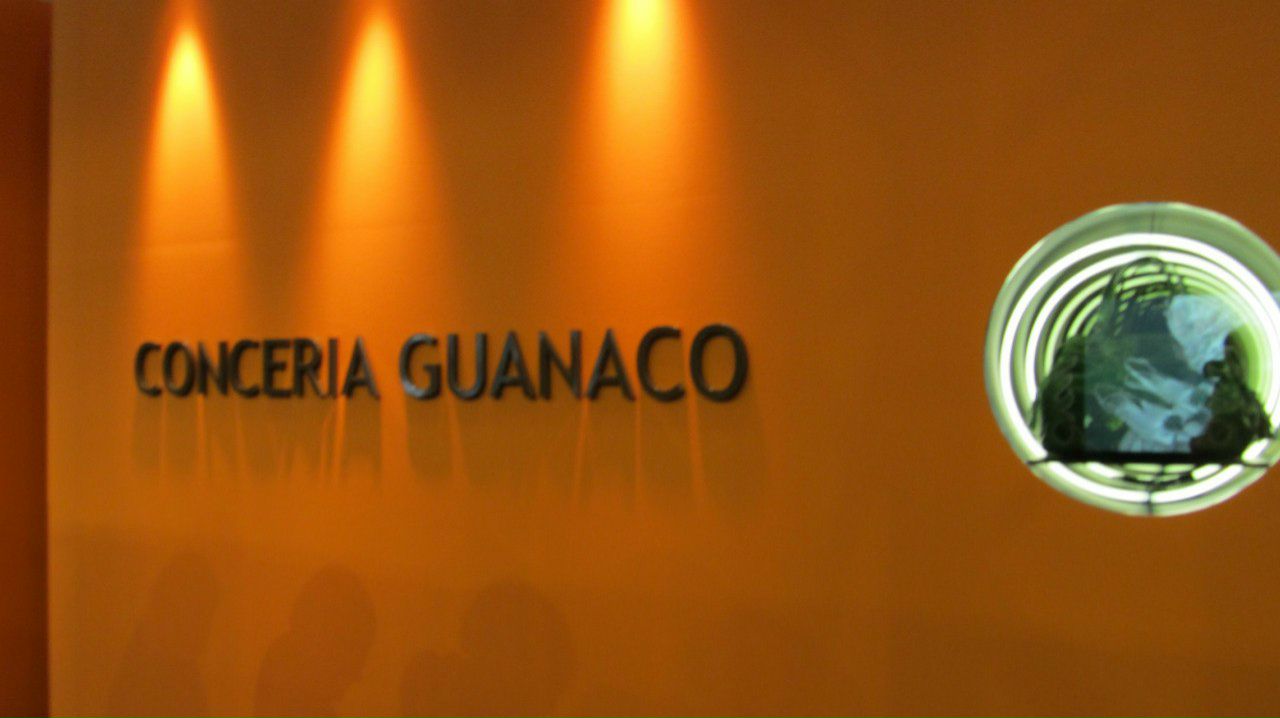 Ирина Касаткина | Калининград