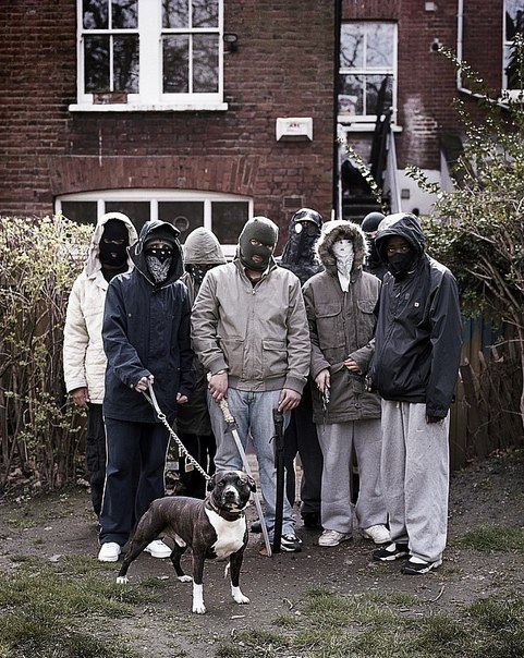 Олег Понтелеев | 