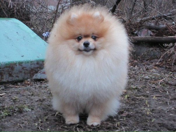 №38, Юля Королькова, 12.12.1978, Москва №38, Юля Королькова, 12.12.1978, Москва