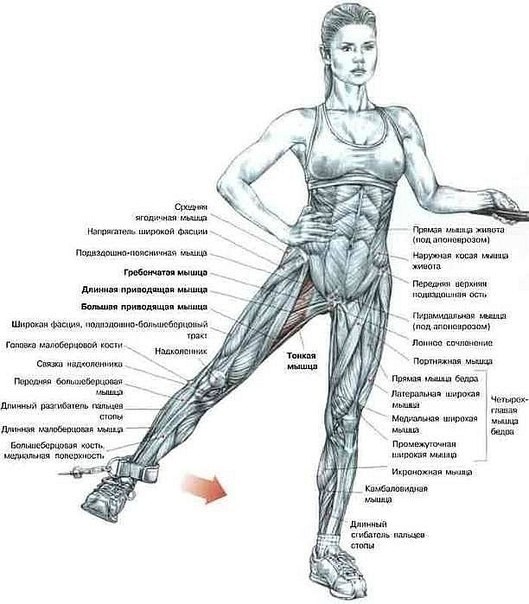 Олег Дмитровский | Москва