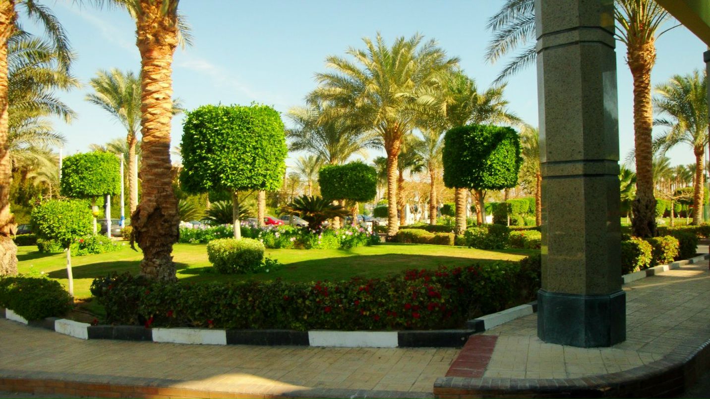 Наталья Таран | Симферополь