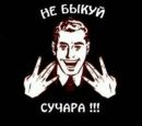 Фотография Александр Наврот