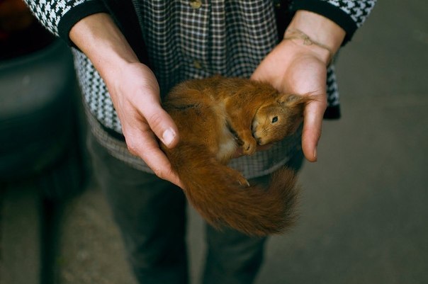 Динара Соболевская | Киев
