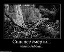 №9 Марина Родионова 23.03: профиль, фото, статус - ВКонтакте