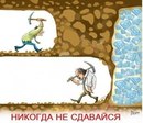 №3 Zaur Bitarov : профиль, фото, статус - ВКонтакте №3 Zaur Bitarov : профиль, фото, статус - ВКонтакте