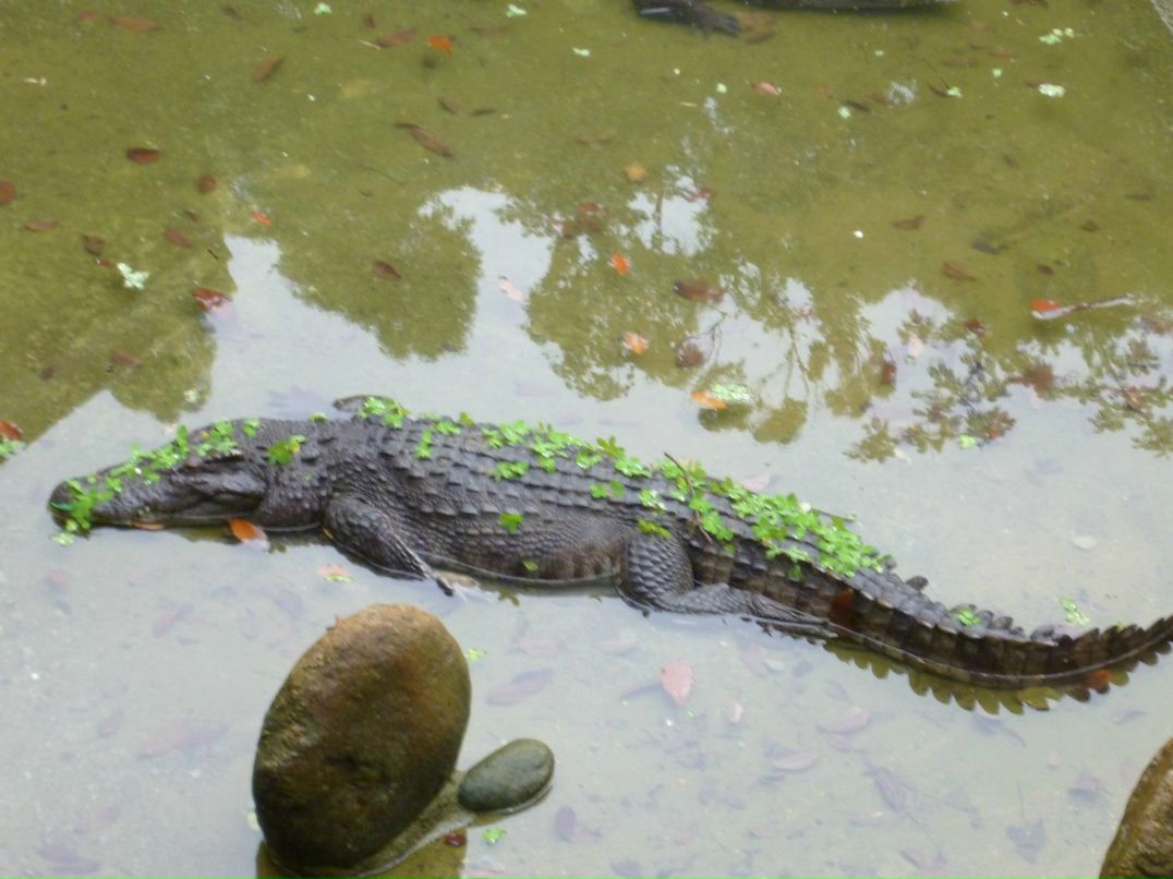 Ирина Котова | Москва