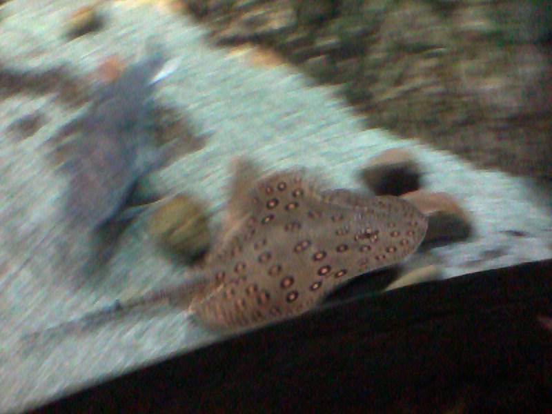 Татьяна Баранова | Санкт-Петербург