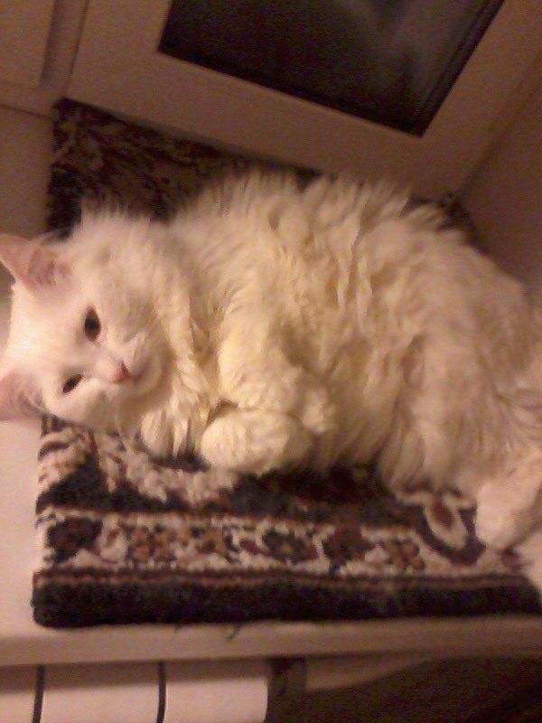 Татьяна Баранова | Санкт-Петербург