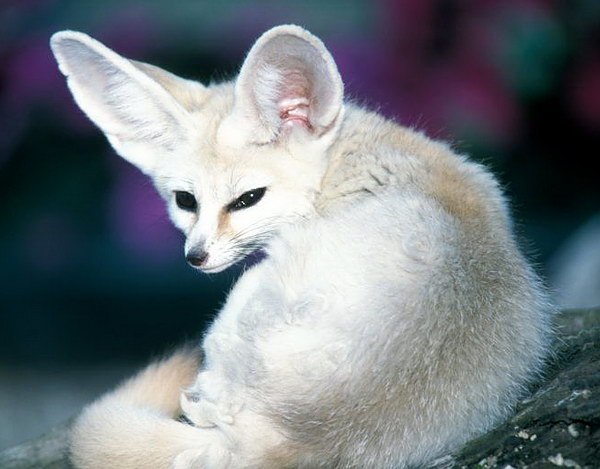 №71, Юлия Ковалёва, Москва №71, Юлия Ковалёва, Москва