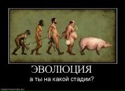 Фотография Джаваншир Гумбатов