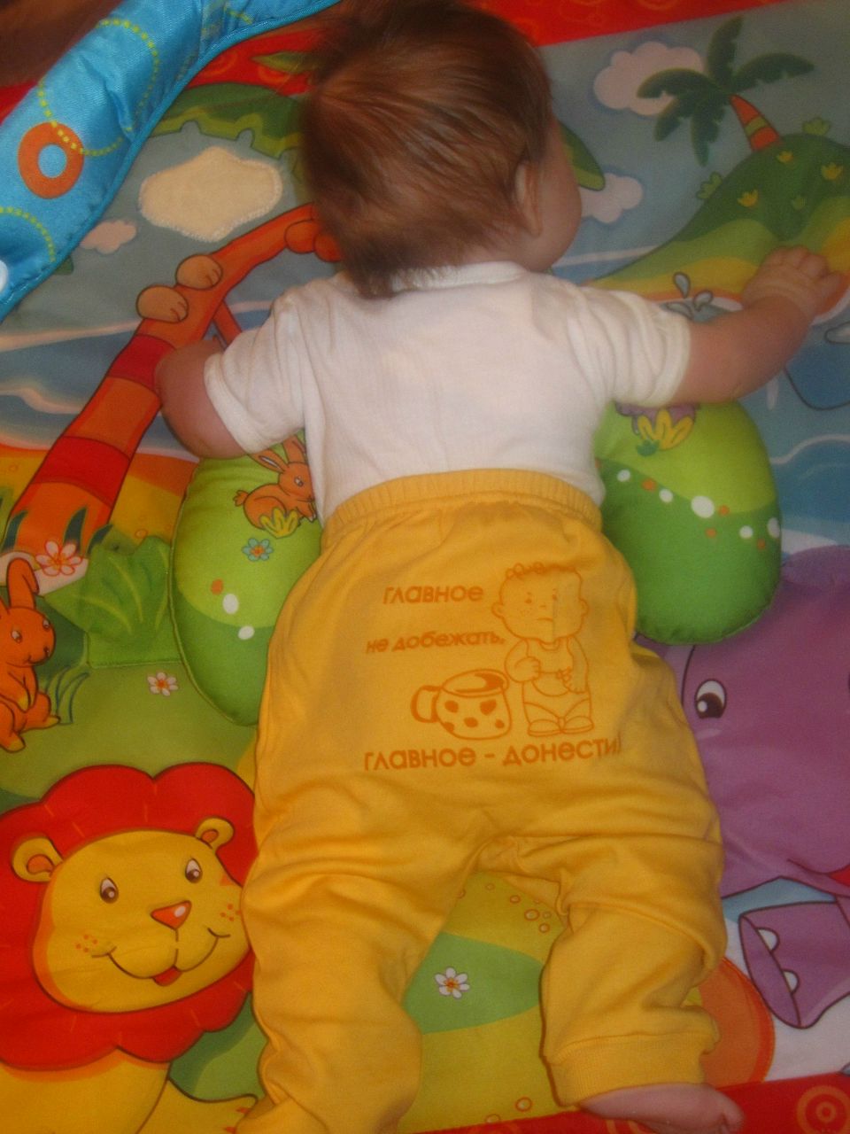 Ирина Шилова | Санкт-Петербург