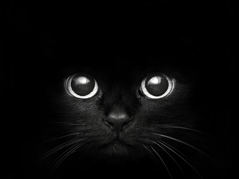Марина Дмитрук ˙·٠•●ღஐ  ℒℴνℯღ   ஐ ღ●•٠˙·٠ | Херсон