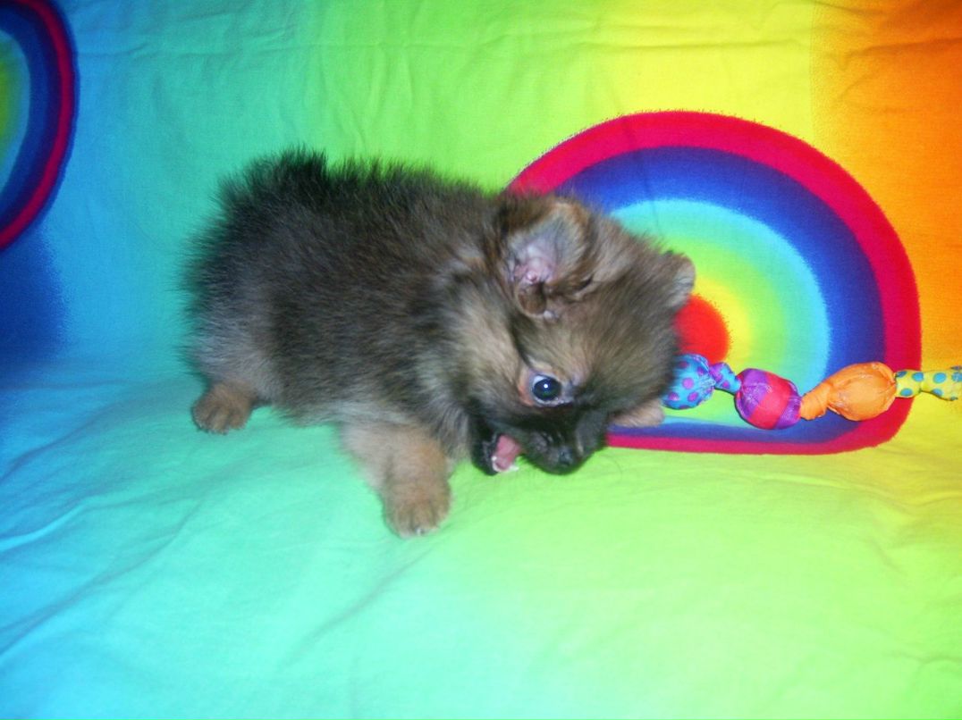 Алиса Парамохина | Москва